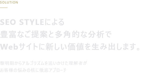 SEO STYLEによる豊富なご提案と多角的な分析でWebサイトに新しい価値を生み出します。