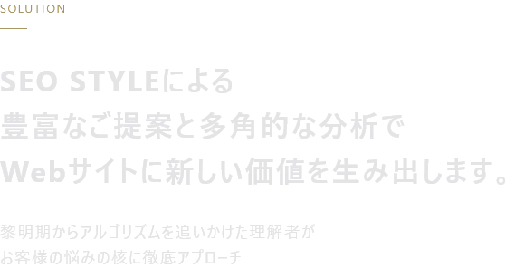SEO STYLEによる豊富なご提案と多角的な分析でWebサイトに新しい価値を生み出します。
