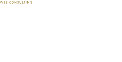 Webコンサルティングでサイトに関する悩みを総合的に解決