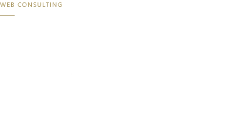 Webコンサルティングでサイトに関する悩みを総合的に解決
