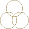 strength_icon